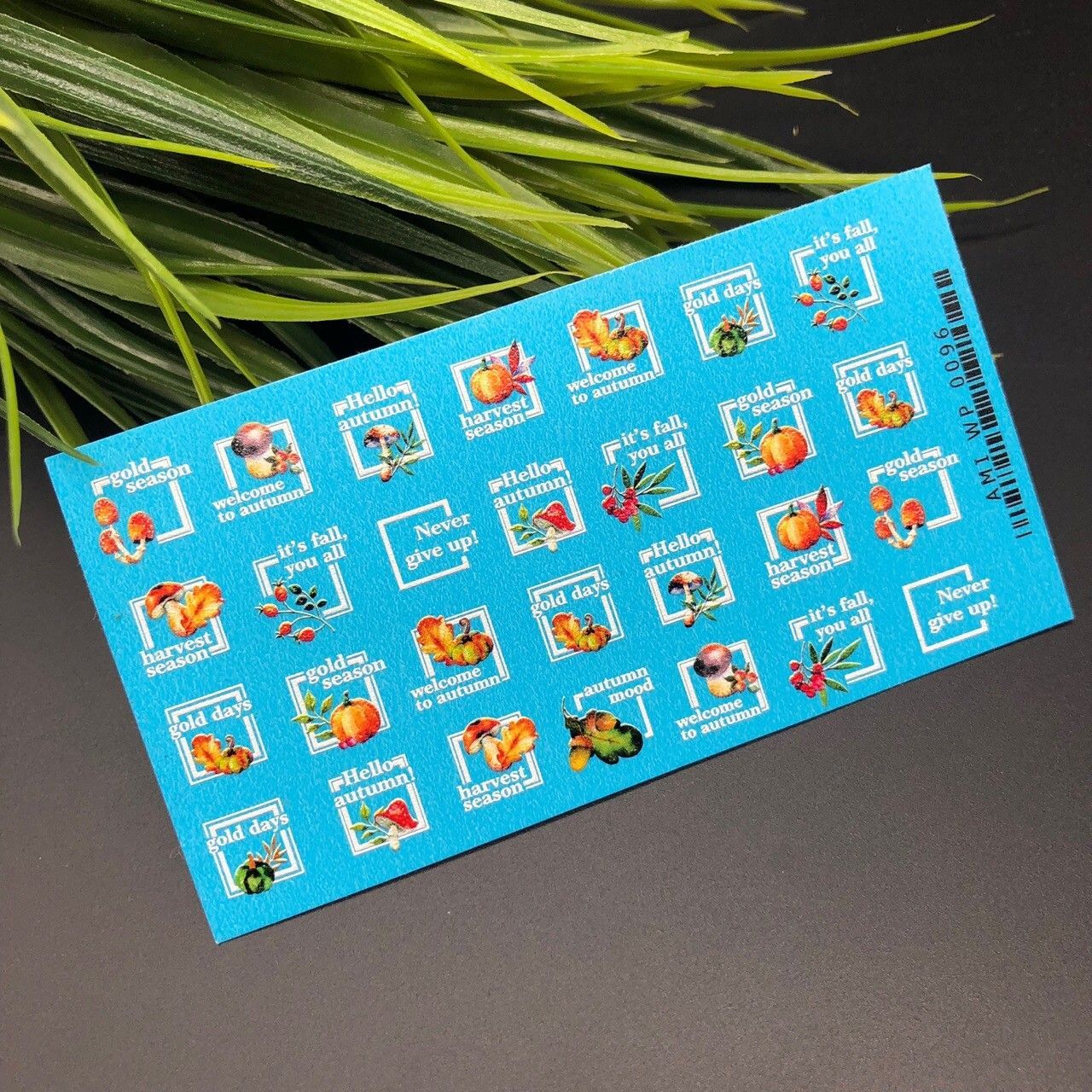 Слайдер AmiNails wp96